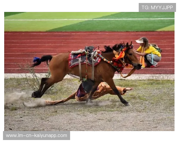 克罗地亚马术协会与科技公司合作，开发虚拟现实训练平台，提升骑手技能。